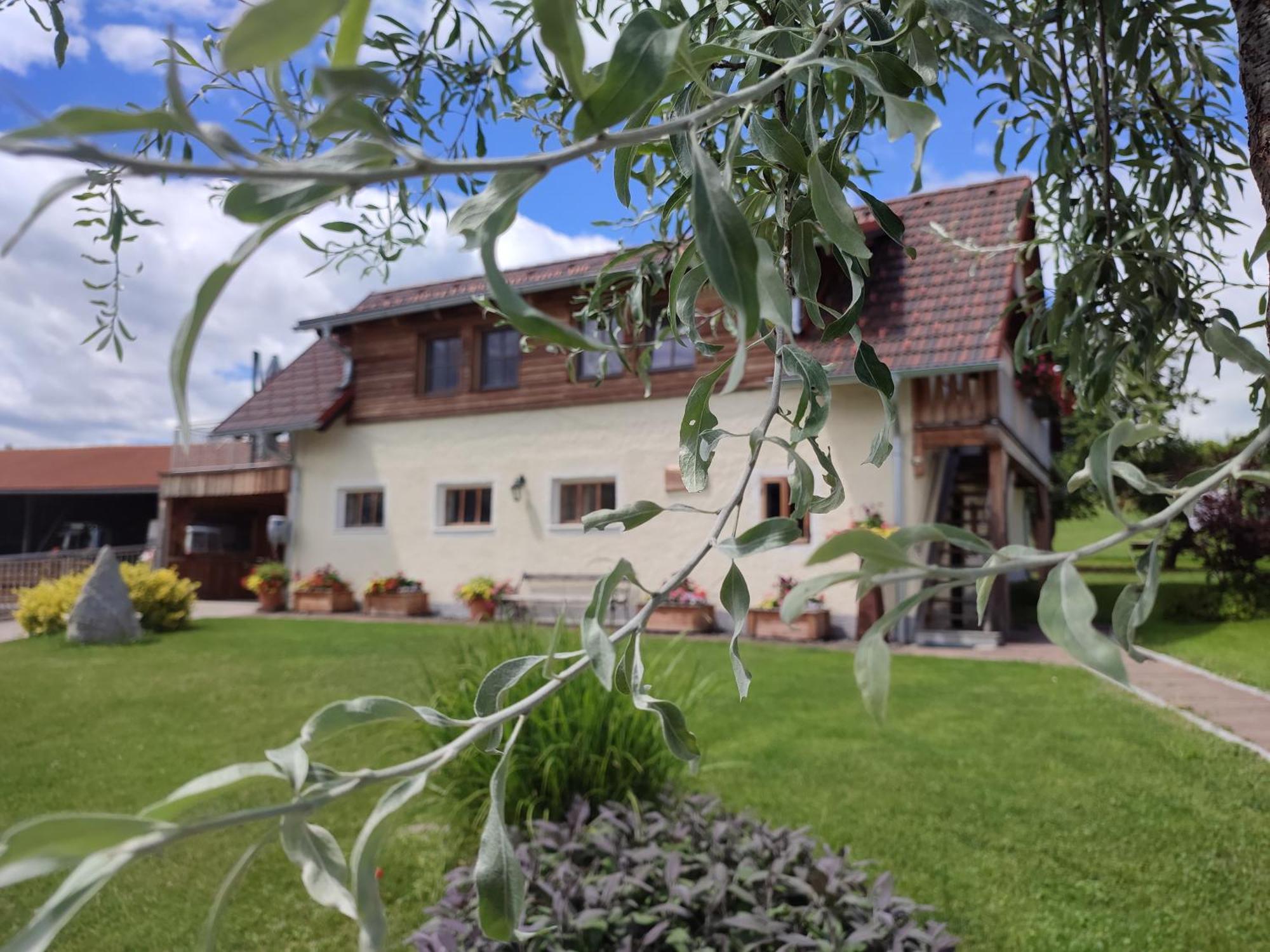 Promschhof Apartment Semriach Exterior photo